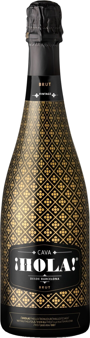 Игристое вино Hola Brut, Cava DO